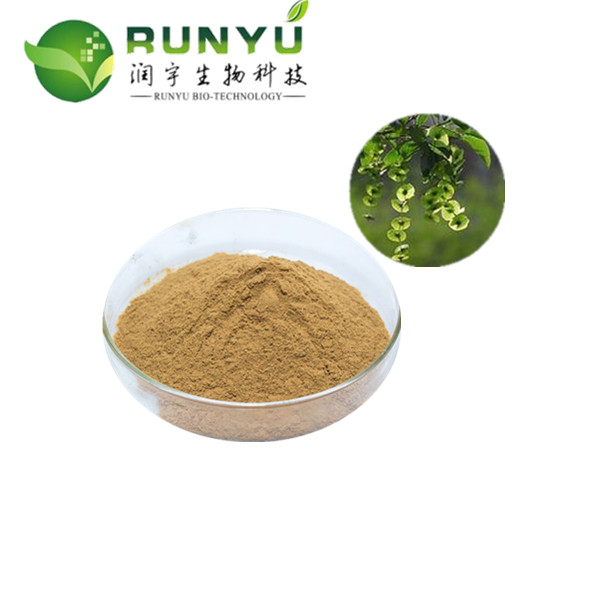 Cyclocarya Paliurus Extract Powder