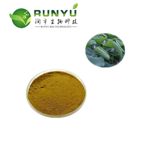 Lotus Leaf extract Flavonoids 20%-50%