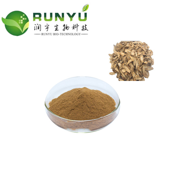 Burdock Root Extract Powder