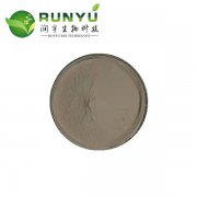 runyu supply Graviola leaf extract Annona squamosa 0.01%