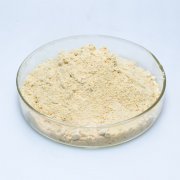 Improve Skin Elastic Good Absorption  Elastin Peptide Powder