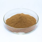  tongkat ali root extract  eurycomanone 1%